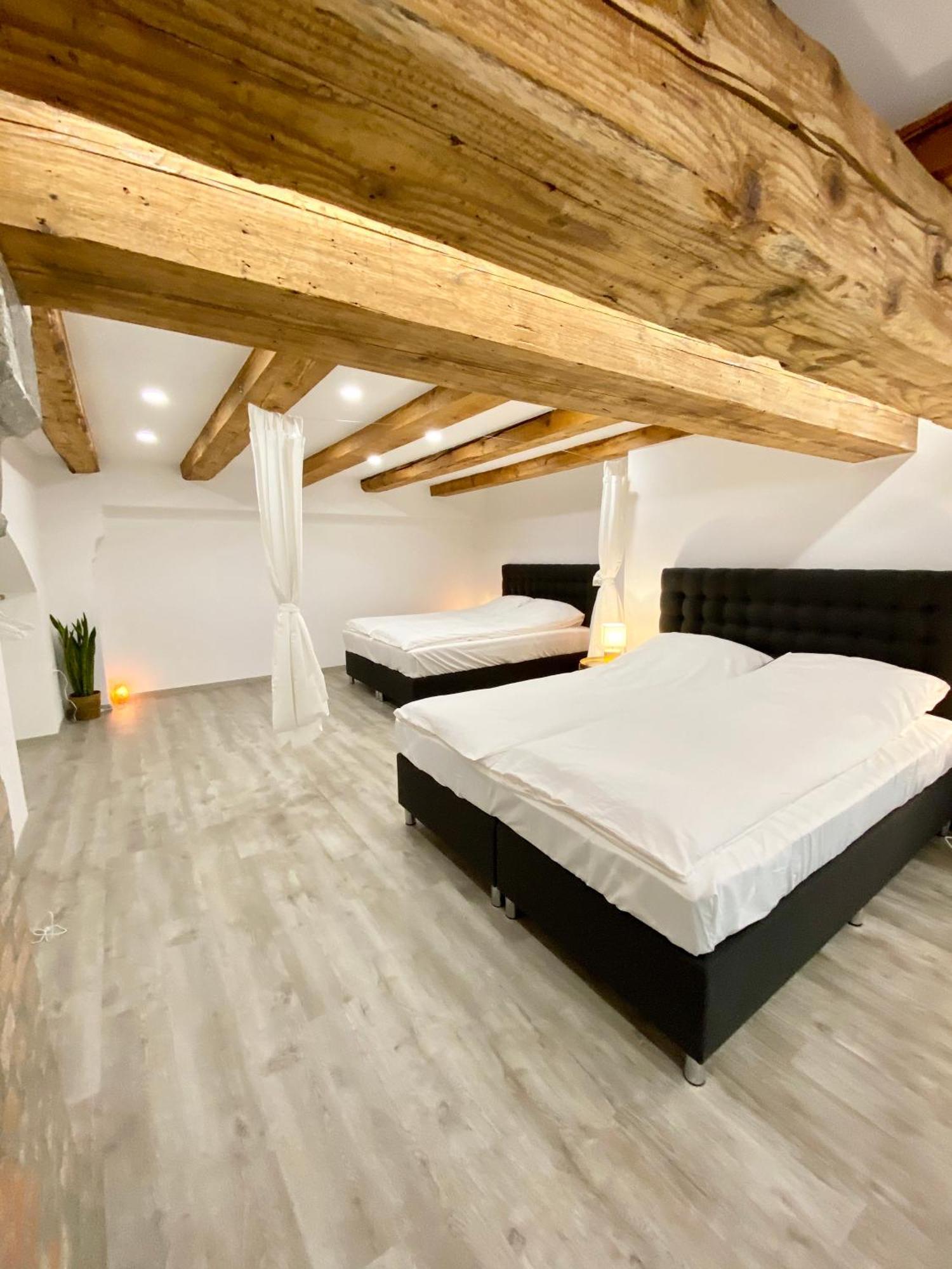 Jungle Loft - Central/Free Parking Любляна Экстерьер фото